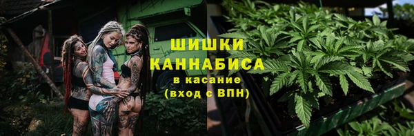дмт Арсеньев