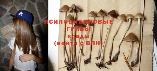 спайс Балахна