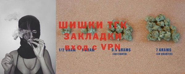 шишки Пестово