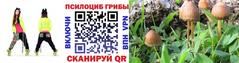 Псилоцибиновые грибы MAGIC MUSHROOMS  Можга 